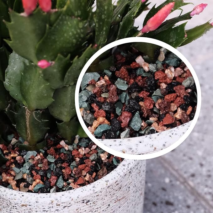 5LB Mix Lava Rocks for Plant Gravel Pebbles for Bonsai Succulent Potting Soil, Top Dressing and Terrarium Plants