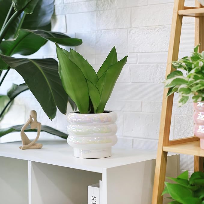 5.7 Inch +4.1 inch 2 pcs Ceramic Plant Pots for Indoor Plants, Rainbow Pearl Glaze Planter with Planters for Plants with Drainage Hole, Orchid Pots, Succulent Pot, Flower Pot (White)