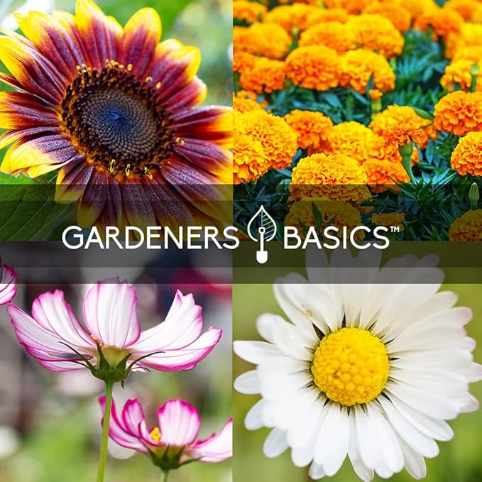 Gardeners Basics, Flower Garden Seeds for Planting Outdoors Flower Seeds (5 Variety Pack) Daisy, Marigold, Cosmos, Sunflower, Zinnia Varieties for Bees, Pollinators Wildflower Seed