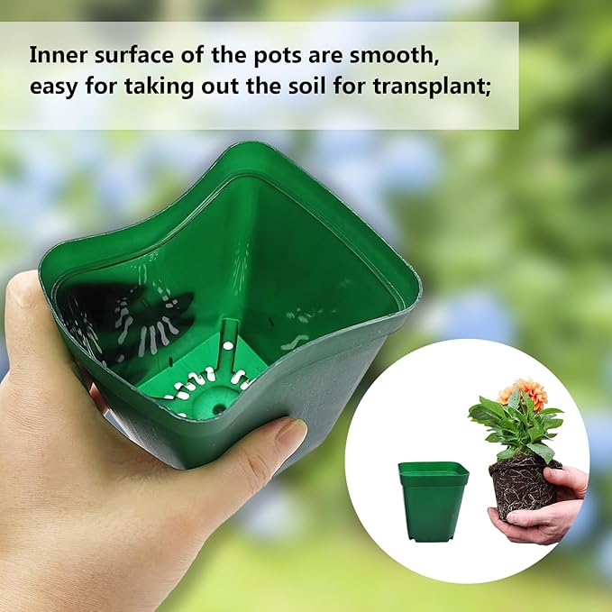 Square Seedling Nursery Pots 3.15 Inches 100 Pcs for Small Succulents or Cacti Flower Plastic Pots Sturdy Reusable (Green, 3.14Inches,100Pcs)