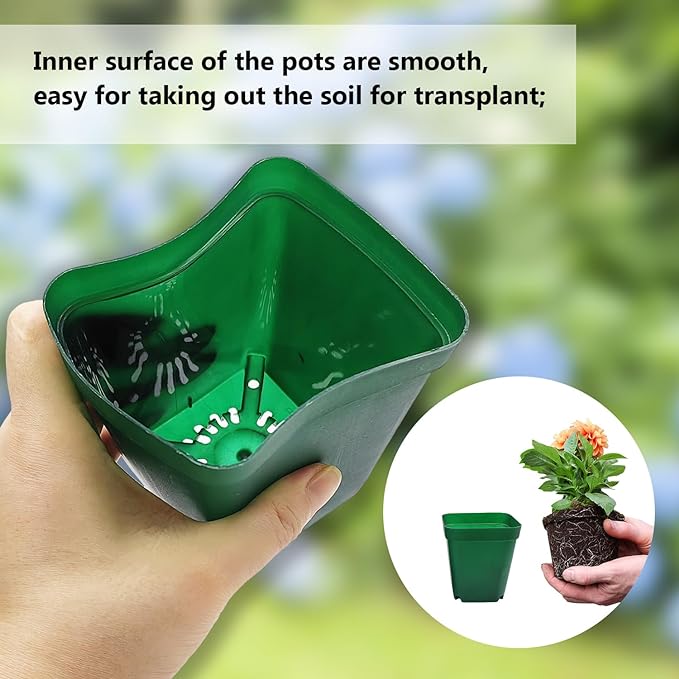 Square Nursery Succulent Pots 4 Inches 60 Pcs Deep Flower Plant Nursery Seedling Grow Pots Plastic with Drainage (Green, 4Inches, 60Pcs)