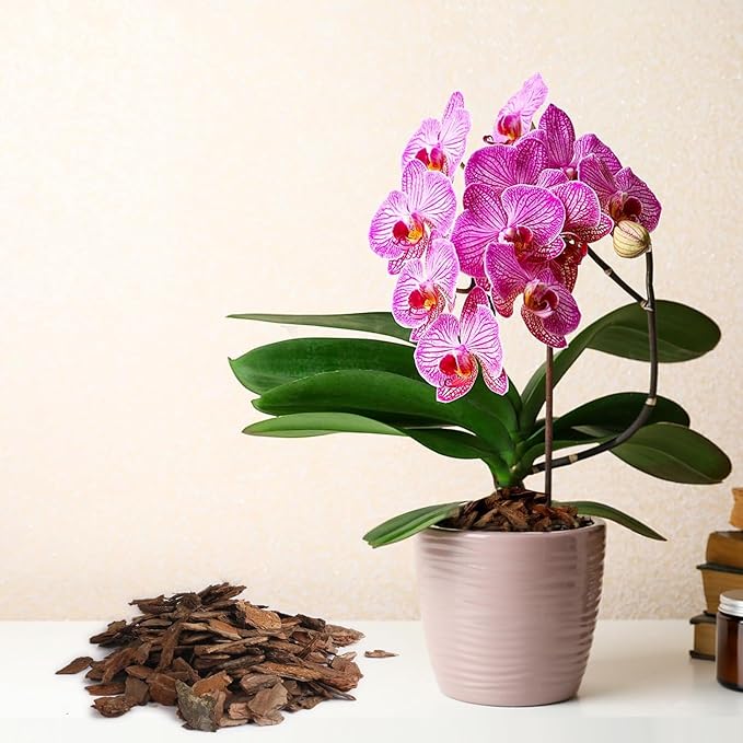 Potting Mix for Indoor Plants (Orchid Bark, 2.0, Quart)