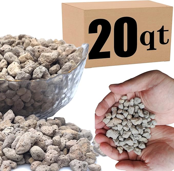 20QT Horticultural Pumice for Plants Professional Sifted - for Succulents, Cactus, Bonsai Plants - 3/8 inch (20QT)
