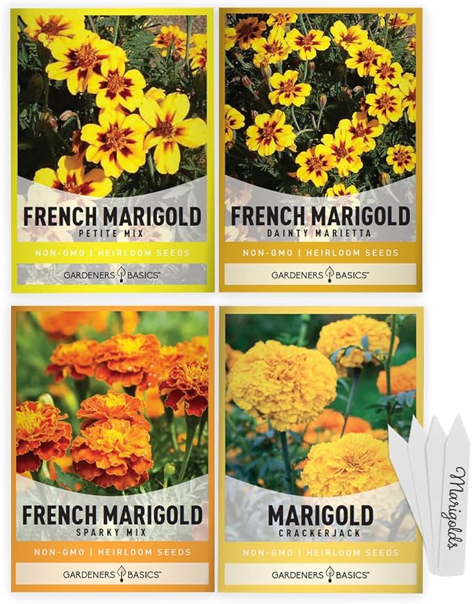 Gardeners Basics, Marigold Seeds for Planting Outdoors (4 Variety Pack) French Marigold Petite Mix, Dainty Marietta, Sparky, and African Marigold Seeds Crackerjack for Pollinators Wildflower Seed