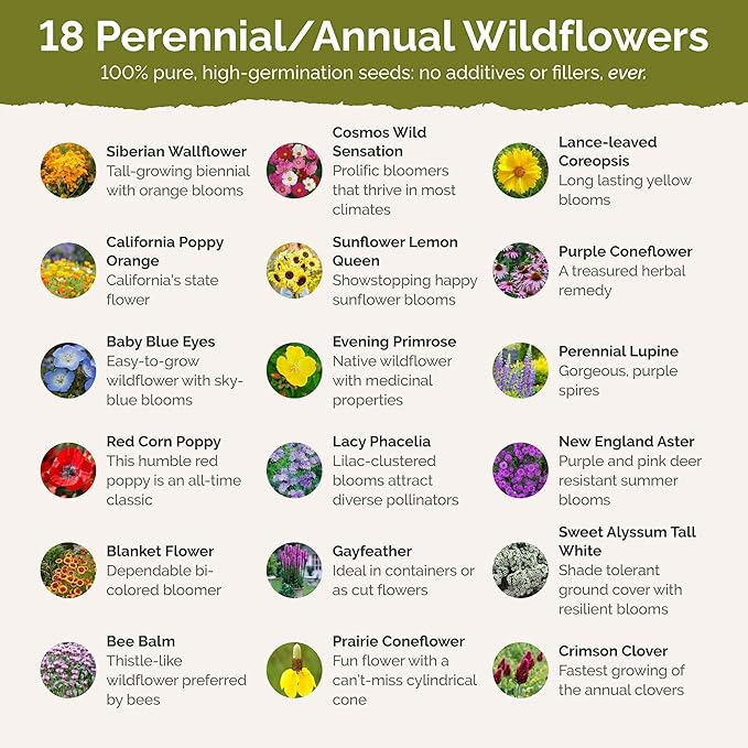Eden Brothers Rhode Island Wildflower Mixed Seeds for Planting, 1 lb, 480,000+ Seeds with WallFlower, Sunflower | Attracts Pollinators, Plant in Spring or Fall, Zones