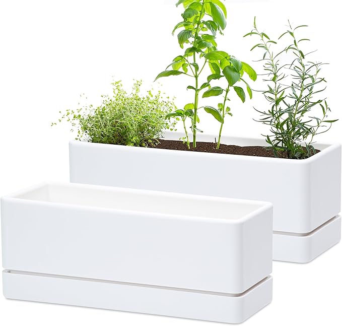 D'vine Dev 12 Inch Window Box Planter, Rectangle Plastic Herb Planter with Drainage Holes and Saucer, Indoor Succulent Cactus Vegetable Pot for Windowsill, Garden Balcony, White, Set of 2, 76-X-A-2