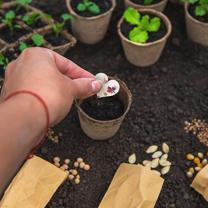 50 pcs Large Pink Hearts – Plantable Seed Paper for Weddings, Gifts, and Life Events (#17s)