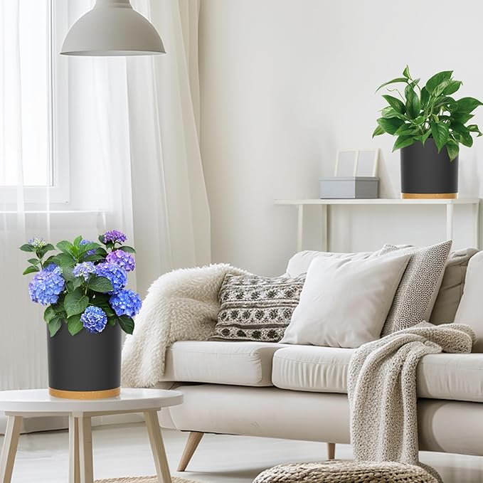 8 Inch Cylinder Plant Pots for Indoor Outdoor Plants, Medium Deep Flower Pots with Drainage Holes & Saucer, Decorative Plastic Planter Pots for Garden House Plants, Black with Brown