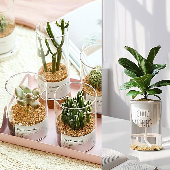 Anothera 7LB Succulent and Cactus Bonsai Gritty Mix Rocks, DIY Additive Pre-Mixed Faster Draining Blend, No Root Rot