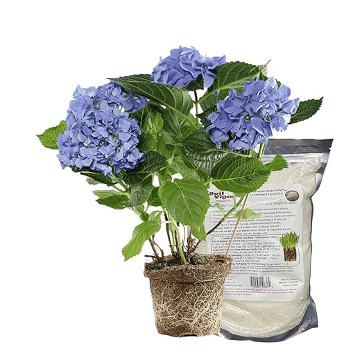 Potassium Polyacrylate Super Absorbent Polymer 1 Pound