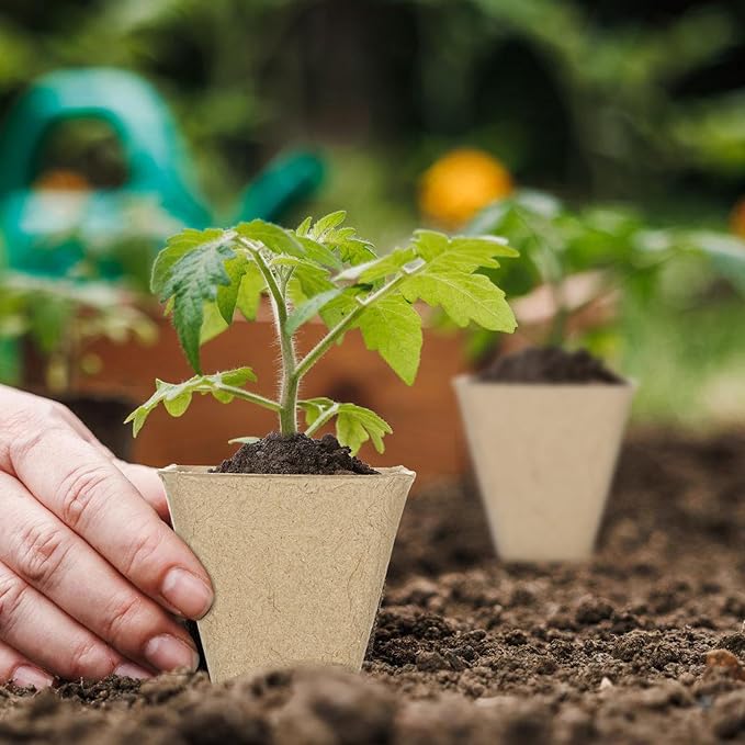 Aulock 36 Sets Plant Nursery Pots with Humidity Dome - 3in Biodegradable Seed Starting Pots, Square Peat Pots with 100 Labels for Garden Flowers Herbs Vegetables Seedlings