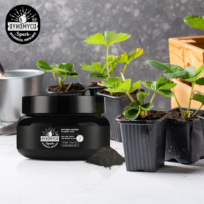 DYNOMYCO Spark 3 in 1 Mycorrhizal Inoculant Root Enhancer Powder for Plants – Root Stimulator for Plants Increases Access to Macro and Micro Nutrients (11 Oz/Up to 70 Plants)