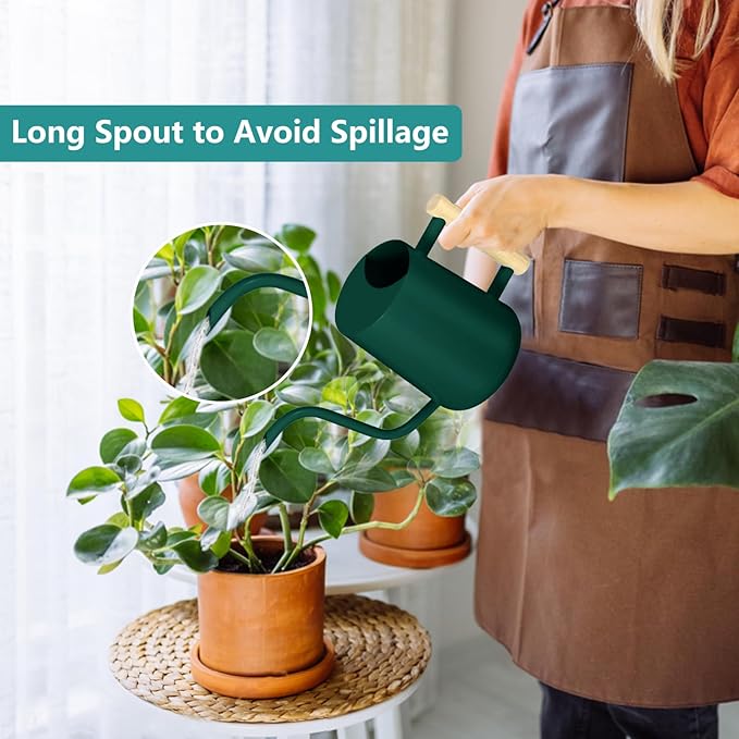 Watering Can Indoor Plants, 35oz Small Watering Can Indoor Stainless Steel Metal Watering Can Modern Decorative Watering Pot with Long Spout for Indoor House Plant Bonsai Garden Flowers (Alpinegreen)
