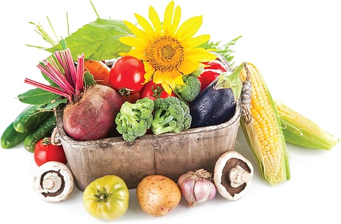 Jobe’s Organics Granular All Purpose Fertilizer, Easy Plant Care Fertilizer for Vegetables, Flowers, Shrubs, Trees, and Plants, 16 lbs Bag