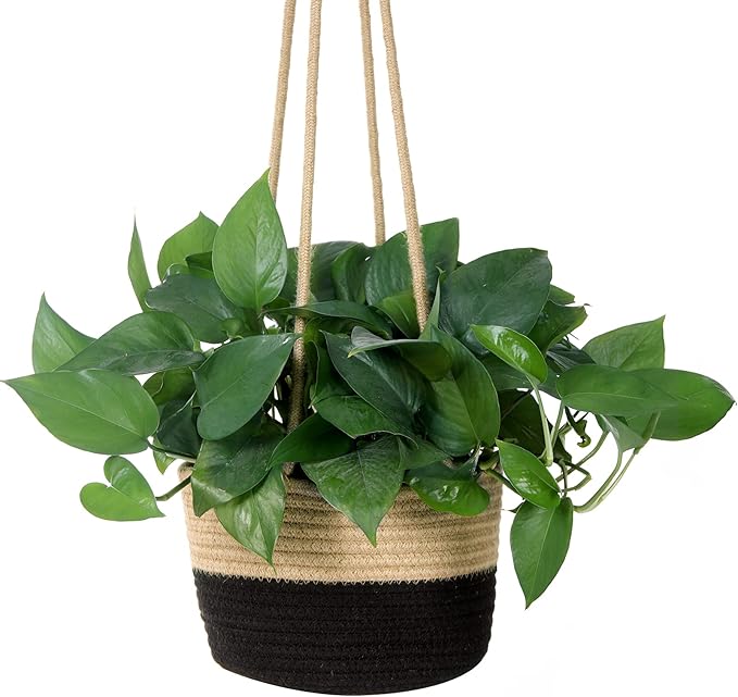 Hanging Planter Basket Jute Rope Woven Plant Hangers Indoor Hanging Plant Holder Up to 7" Pot Macrame Modern Storage Organizer Home Decor (Jute-Black)