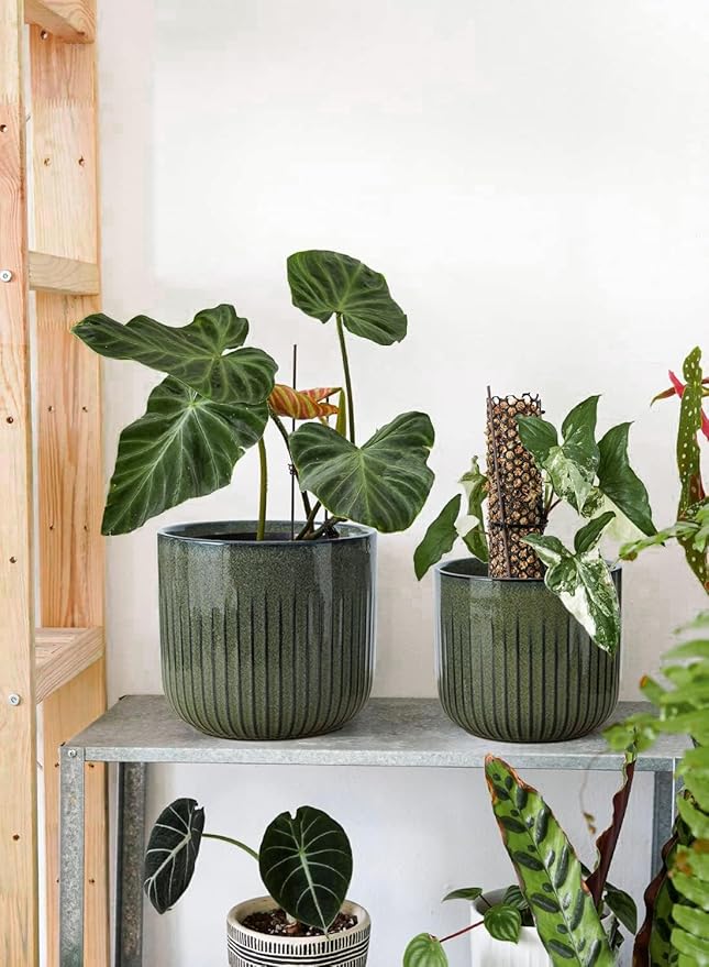 LE TAUCI Ceramic Planters for Indoor Plants, 8.3+6.9+5.7 inch Plant Pots with Drainage Holes, Cylinder Flower Pot for Indoor House Plant, Set of 3, Glaze Dark Olive