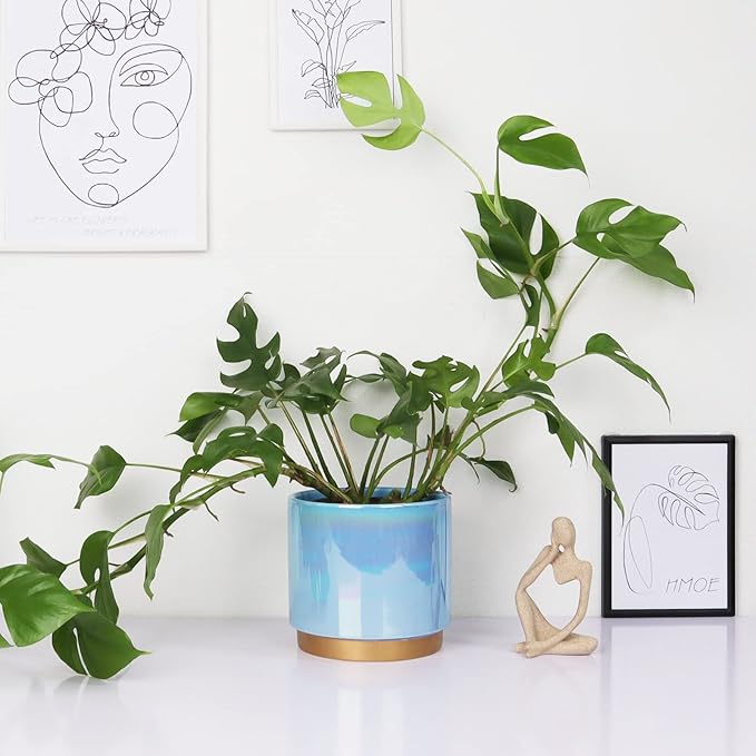 Gepege Ceramic Pots for Plants, Rainbow Pearl Glaze Planter with Drainage Hole, 6.0 inch+5.0 Inch+4.0 Inch. Indoor-Outdoor Large Round Succulent Orchid Flower Pot