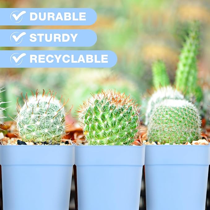 100 Pieces 4 Inch Flower Pots Square Plants Nursery Pot Plastic Plant Seedling Pots Nursery Transplanting Planter Container with Saucer for Indoor Herbs Succulents Balcony Garden Office (Blue)