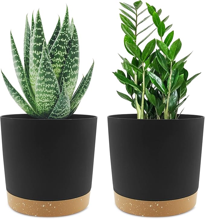 QCQHDU 6.5 inch Plant Pot, 2 Pack Planters for Indoor Plants with Drainage Holes & Saucer, Outdoor Flower Pots Home Garden Modern Decor