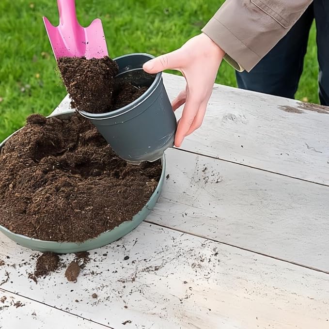 10 Pack Mini Colorful Metal Hand Shovel, Kids Teens Adults Trowel Set Garden Tools for Flower Soil Planting Digging Transplanting (11 x 3 Inch)