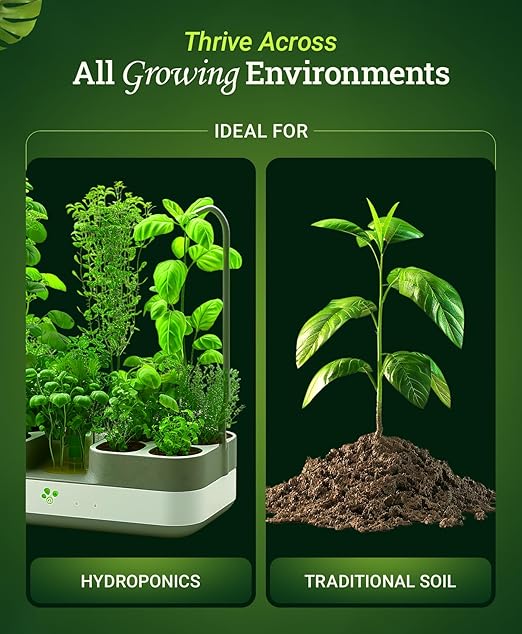 Foxfarm Bushdoctor Bembé Concentrate, Fast-Acting Liquid Plant Fertilizer, Enhances Natural Sugars for Sweetness and Flavor - Easy Absorption for Soil, Containers, and Hydroponics- NPK 0-1-3 (Pint)