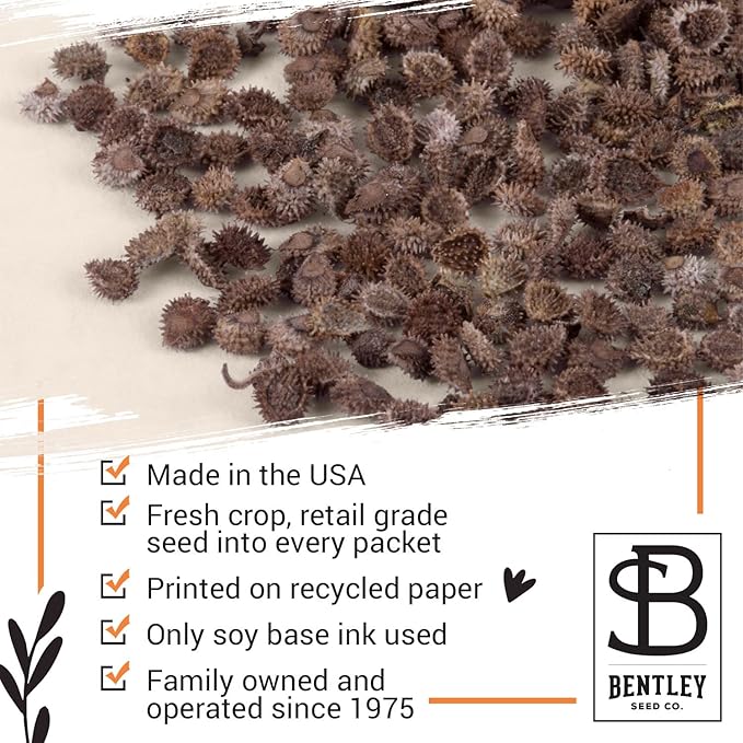 Vintage Look - 25 Individual Forget Me Not Flower Seed Packet Favors - Non GMO - Ready to Give - Bulk Pack of 25