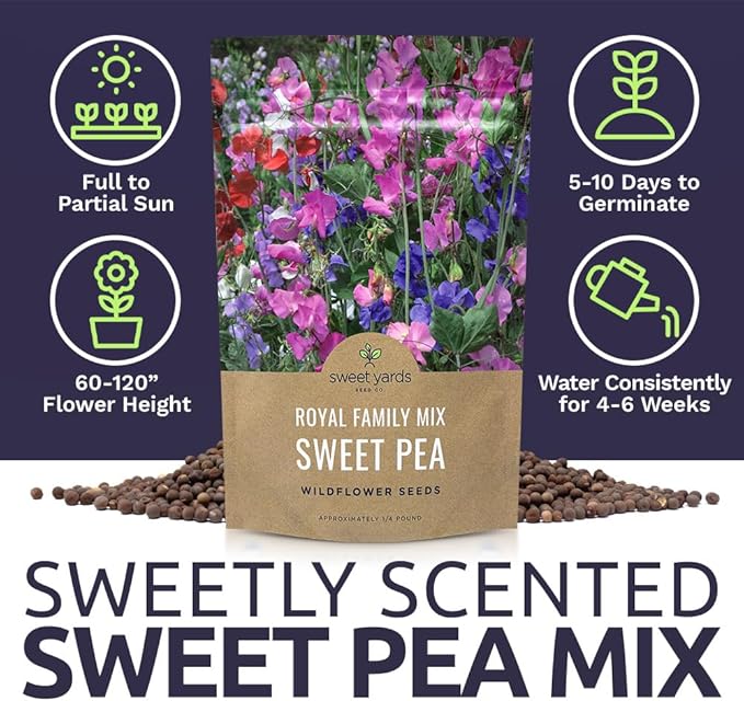 Sweet Pea Seeds Royal Mix - Bulk 1/4 Pound Bag - Over 1,400 Seeds - Large Fragrant Lavender, Purple, Red, Pink and White Blooms
