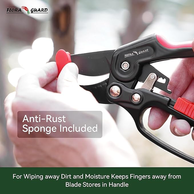 FLORA GUARD Garden Clippers, Professional Ratchet Pruning Shears, Increases Cutting Power 3x, Sharp Gardening Scissors, Cutting Rose, Flower, Hedge, Stem, Tree, Perfect for Weak Hands & Arthritis