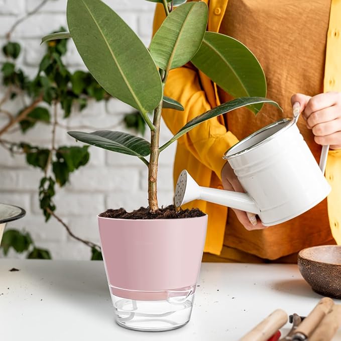 Hayder Plant Pots 6 inch Set of 6, Self Watering Flower Pots Indoor Outdoor, Self Watering Planters with Drainage Hole & Clear Saucer Reservoir