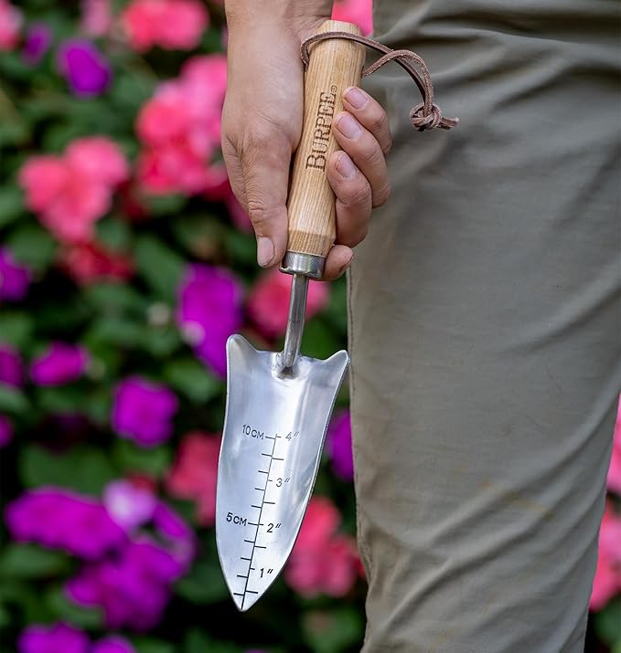 Burpee 13" Stainless Steel Transplanter | Durable Long Lasting Garden Tool | Leather Wrist Strap 5" Handle, Oak
