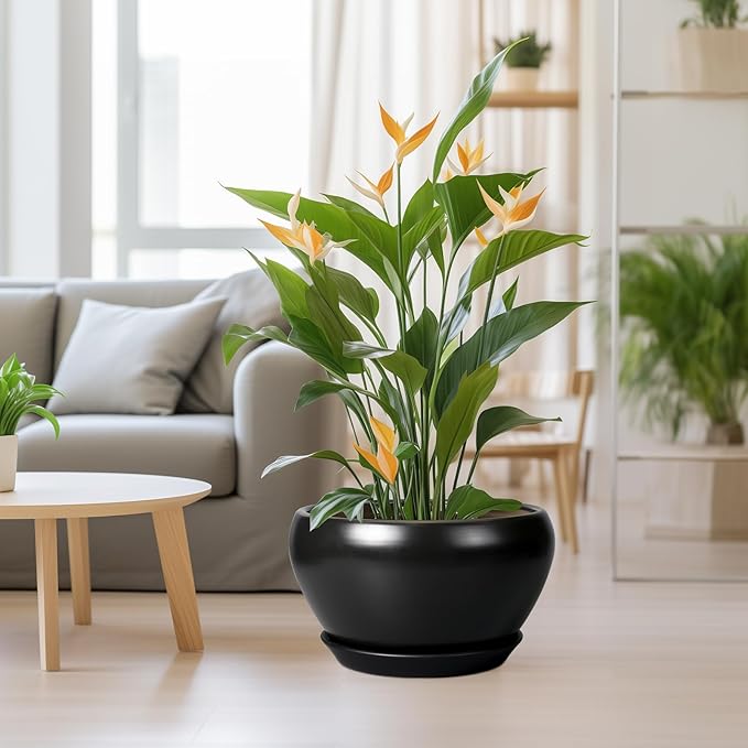 Ceramic Pot for Plants Large - 13 Inch Plant Pot Indoor with Drainage Hole and Saucer Round Planter Decorative Planter Outdoor Flower Pot for House Decor Balcony Black