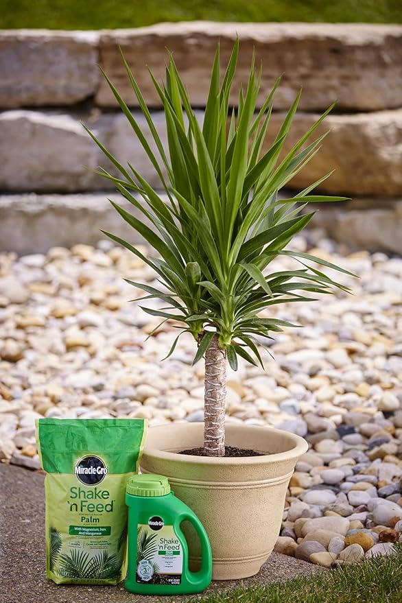 Miracle-Gro Shake 'N Feed Palm Plant Food Refill Bags, Plant Fertilizer, 8 lbs. (4-Pack)