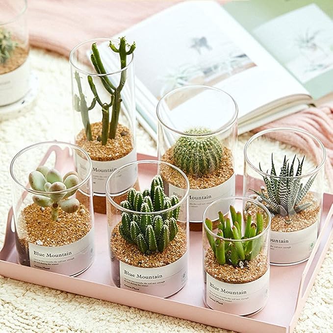 18LB Aquarium Gravel Mix Rocks for Succulent,Cactus Bonsai DIY, Gravel for Terrarium, Fairy Gardening, Top Dressing （6mm-8mm）