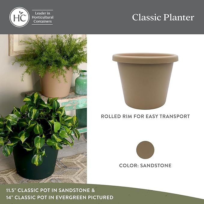 The HC Companies 14 inch Round Classic Planter - Plastic Plant Pot for Indoor Outdoor Plants Flowers Herbs, Sandstone (2 Pack)