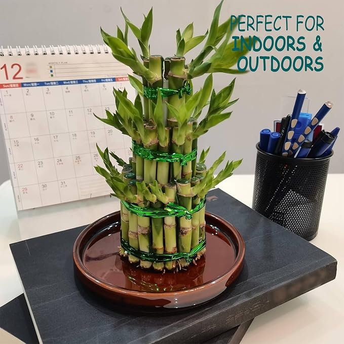 Ceramic Plant Saucer 5 Inch, 2 Pack Round Plant Saucers for Indoors/Outdoors, Flower Pot Saucers for Holding Water Drips, Ceramic Plant Water Trays for pots Planter, Bird Bath Bowls (Brown)