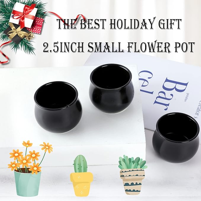 8 Pack Succulent Plant Pot, Matte Black Mini 2.6 inch Ceramic Flower Planter Pot with Bamboo Tray, Small Pots for Plants, Plants Not Included
