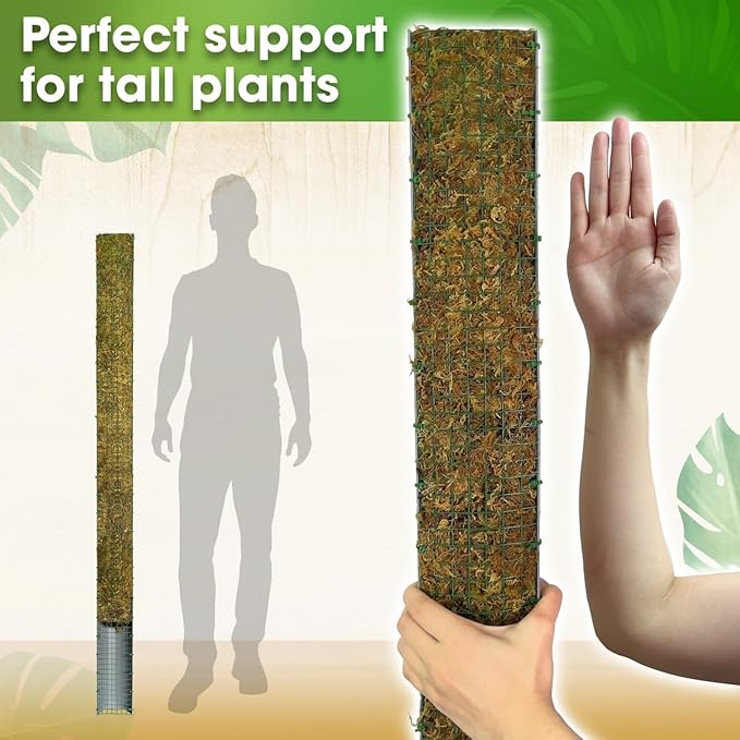 DUSPRO 59’’ D-Shape Moss Pole for Climbing Plants Monstera Moss Plant Pole Handmade Moss Stick for Indoor Plants Grow Upward (59'', 1pc.)