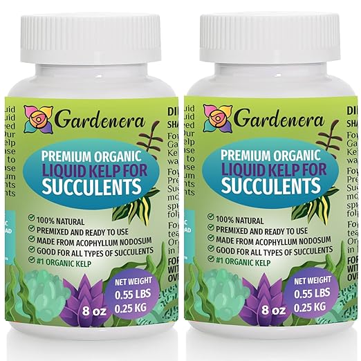 Concentrated Kelp & Seaweed Extract for Succulents and Cacti - 16 oz - Unleash The Power of Seaweed for Stunning Growth