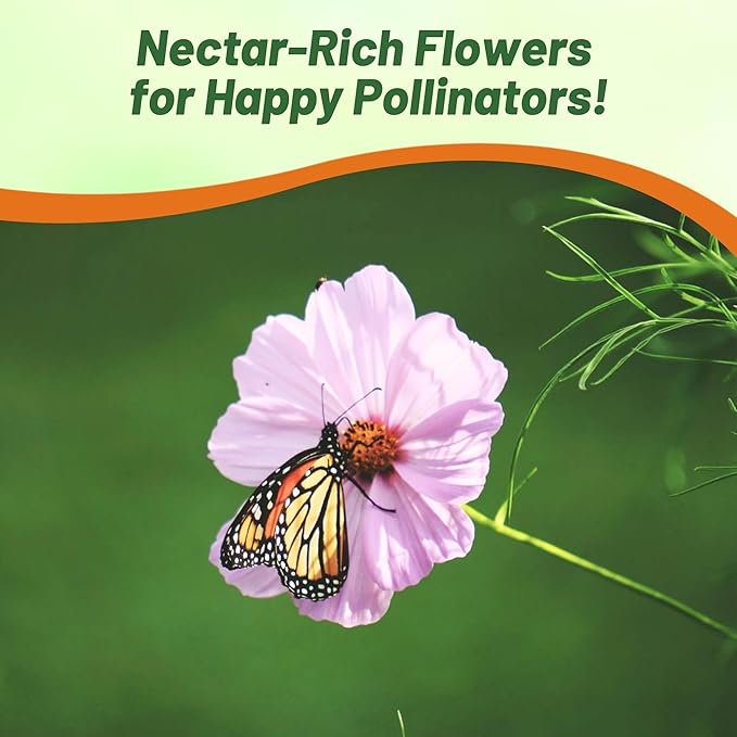 Outsidepride 2000 Seeds Annual Cosmos Bipannatus Day Dream Pink Cut Flower Seeds for Planting