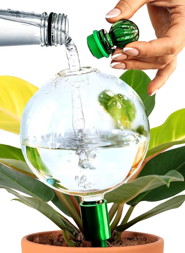 16 Oz Plant Watering Globes For Indoor Plants With Metal Self Watering Planter Insert - Premium XL Glass Hand-blown Globes - Automatic Indoor Planter Waterer, Gift Idea For Gardeners [1, Pure ]
