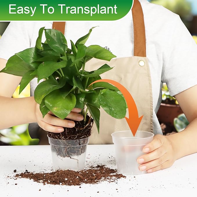 40 Pack 3.5 Inch Clear Nursery Pots for Plants, Sturdy Plastic Plant Pot for Planting Vegetables Flowers Seedlings, Transparent Seed Starter Pots with Drainage Holes(40P-3.5" Clear)