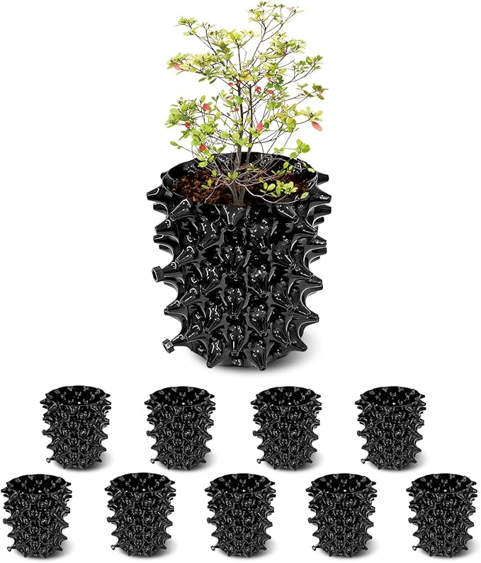 1 Gallon Air Pruning Pots New Plastic Nursery Pots Fruit Vegetable Garden Self-Planting Pots (10), Black (1G-10P)