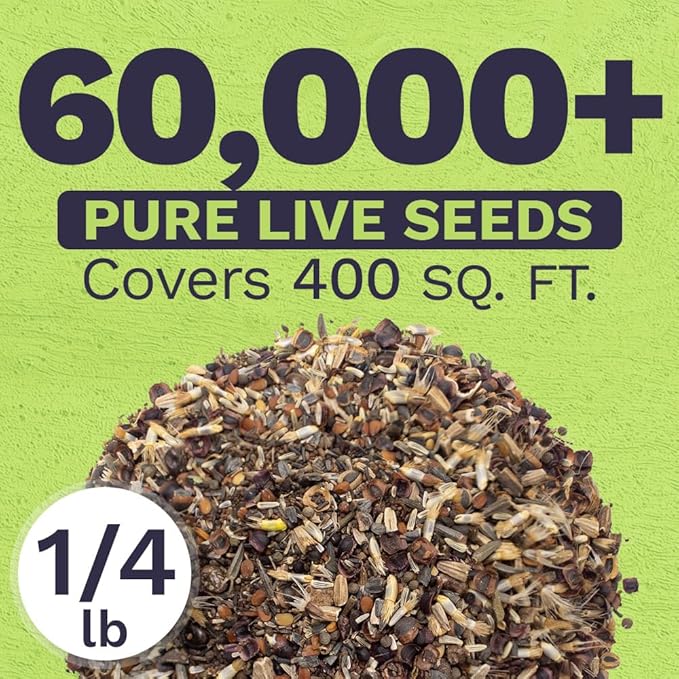 Deer Resistant Wildflower Seed Mixture - Bulk 1/4 Pound Bag - Over 60,000 Deer Tolerant Seeds - Open Pollinated and Non GMO