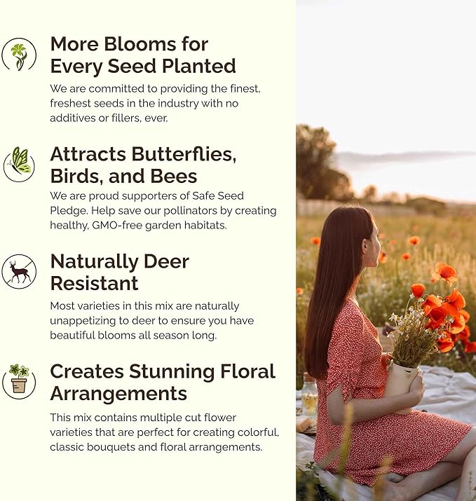 Eden Brothers Western Wildflower Mixed Seeds for Planting, 1 lb, 480,000+ Seeds with Cornflower, Blanket Flower | Attracts Pollinators, Plant in Spring or Fall, Zones 3, 4, 5, 6, 7, 8, 9, 10