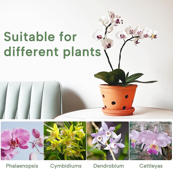 8 inch Terracotta Orchid Pots with Holes and Saucers, 2 Pack Clay Orchid Planter Pots for Repotting, Large Terra Cotta Orchid Pot, Plant Flower Pots for Orchid Indoor Outdoor Promotes Air Circulation