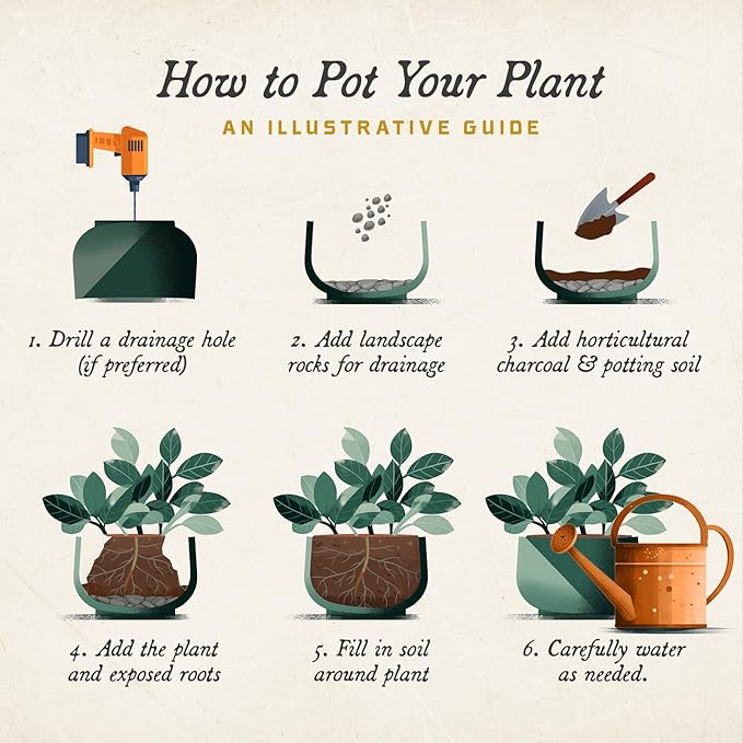 ARBORA 21" Santorini Bowl Polyresin Indoor and Outdoor Planter with Stone Blend Concrete Finish - Durable, Weatherproof, Lightweight, Large Plant Pot for Patio, Garden, Deck, Entryway