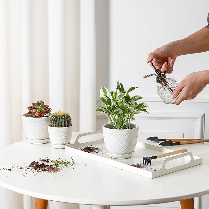 Sureasy Succulent Pots, 3.5 Inch Flower Pots for Indoor Plants, Small Plant Pots with Saucer & Drainage, Decorative Ceramic Planters for Succulent, Cactus, Set of 4, White