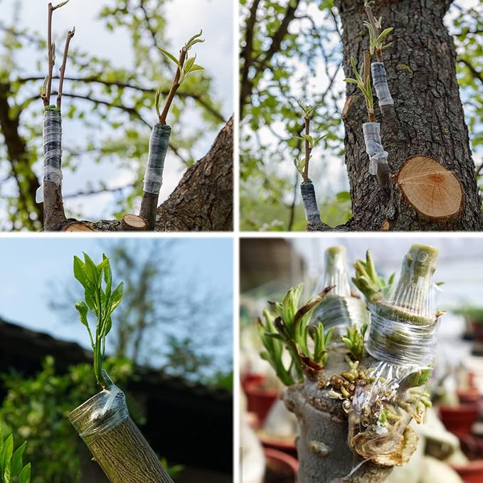 Garden Grafting knife,Stainless Steel Double Blades Rosewood Handle Pruning Knife,3 Grafting Tape Buddy Tape for Fruit Trees,Gardening Grafting Tool