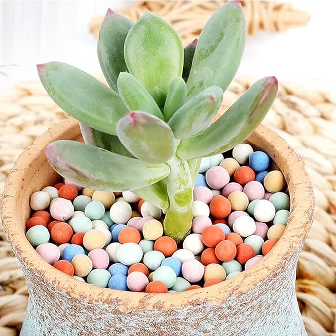 2LBS Garden Soil,Clay Pebbles Gardening Ceramsite Orchid Rocks Drainage Water Purification Ceramsite Decor Cultivation Soil Stone Horticultural Grade for Soil Hydroponics Aquaponics,Diameter 8-10mm