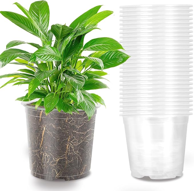 36 Pack 7 Inch Clear Nursery Pots, 1 Gallon Clear Plastic Nursery Pot for Plants, Durable Seed Starting Pot with Drainage Holes, Flexible Transparent Pot for Succulents